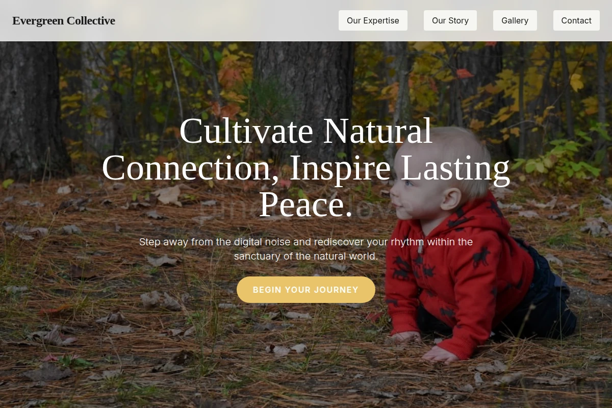 Stillness Nature Education